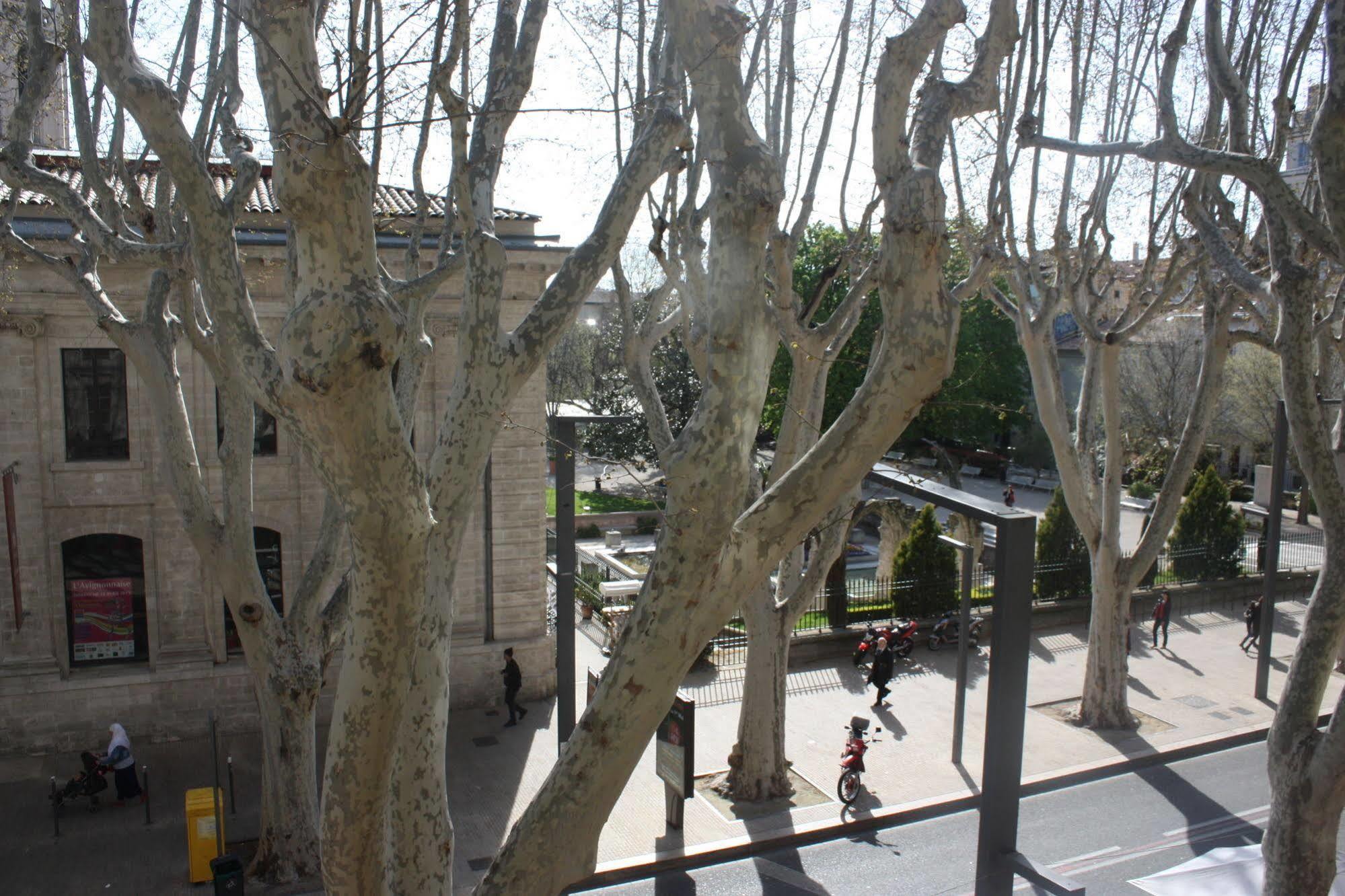 Hotel Alizea Avignon Eksteriør billede